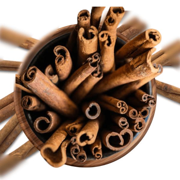 CINNAMON TOP