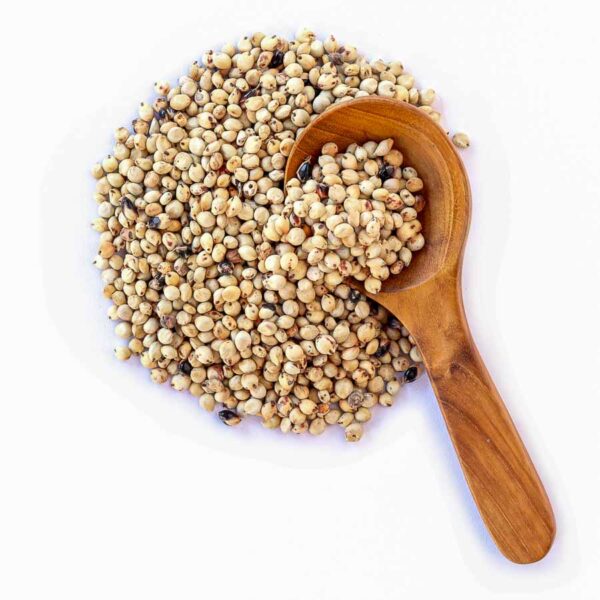 Sorghum_jawar-rvk